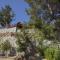 Ricky Chalet Near Troodos