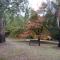 Alpine Riverside Cottages