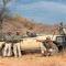 Pondoro Game Lodge - Rezervace Balule