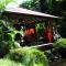 West Indies Cottage, cottages haut de gamme avec piscine, jacuzzi et vue jungle