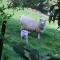 Cashmere Hills B&B