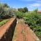 Apartments and rooms with parking space Jelsa, Hvar - 8798