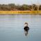 Discovery Parks - Lake Bonney