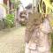 Mekenyem House Ubud - 乌布