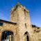 Glendale Chestnut Grove - Rosslare