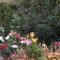 La Chuchotiere photo 20