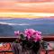 Fedriades Delphi Hotel - Delphi