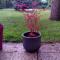 Garden Apartment Donau-City (P&R)