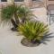 Palms Inn