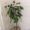 Beautiful Apartment im Zentrum von Sankt Augustin