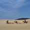 Panorama Guest House - Port Alfred