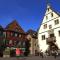 VVF Plaine dAlsace Obernai Strasbourg