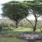 Shwari Cottages - Naivasha