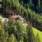 Chalet Flierer
