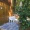 Roatan Bed & Breakfast Apartments