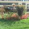 Studio Disneyland Paris - Terrasse photo 8