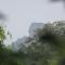 Nice Place Resort - Dambulla