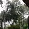 GreenSpot Homestay