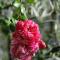 B&B Coup de Coeur