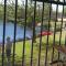 Vimals Homestay