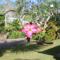 El Homestay Bali