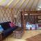 Circle M Camping Resort 24 ft. Yurt 2