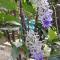 Kalana Homestay