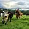 Drumbuie Farm B&B
