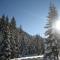 Apart Arve - Sankt Leonhard im Pitztal