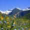 Chalet-Hôtel Les Cimes - Le Grand-Bornand