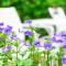 Lilac Relax-Residence