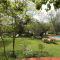 Berluda Farmhouse and Cottages - Oudtshoorn