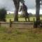 The Rock Equestrian Farm B&B - Bailieborough