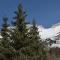 Le Flocon des Aravis