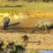 Umvangazi Rest - Marloth Park