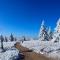 Hapimag Ferienwohnungen Winterberg - Winterberg