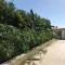Archiammare Sea