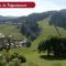 Chalet Fleur des Alpes 1