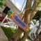Bayahibe Guest House Hotel