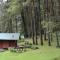 Foto: Cabañas Alpinas López Fontes 5/46