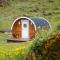 Glamping & Camping