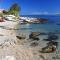 Apartments by the sea Milna, Vis - 8895