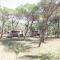 Camping Golfo dell’Asinara