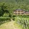 Weingut Wolkanhof