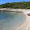 Apartments with parking space Rukavac, Vis - 8496