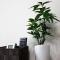 Forest Inn Fukuoka -previously Pure Tenjin-