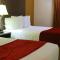 Best Western Galleria Inn & Suites - تشيكتاواغا