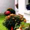 Kilcommon Lodge Holiday Hostel