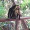 Coyaba Tropical Elegant Adult Guesthouse