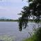 Organic farm Wish Prabha lake view homestay